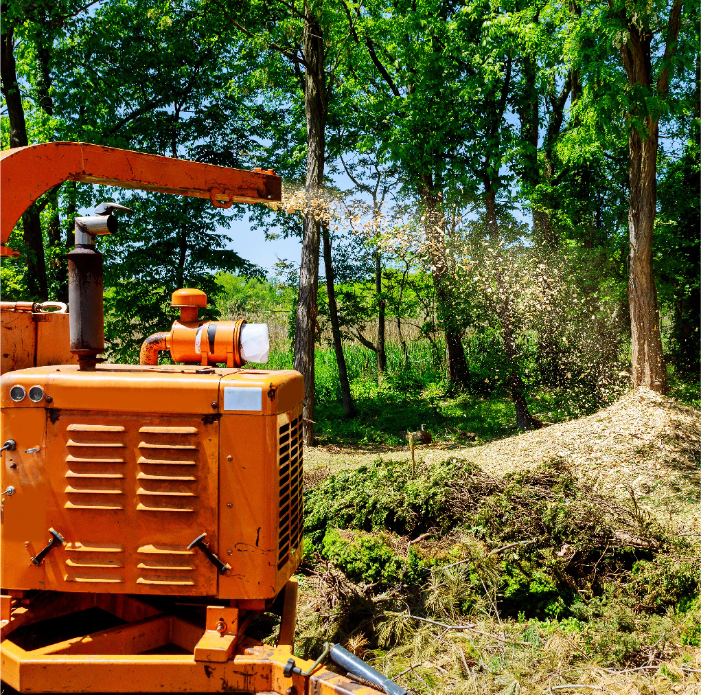 Déchiquetage de branches sur place